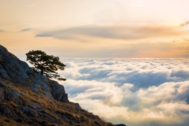 Dağ Demerdzhi, Kırım Cumhuriyeti.