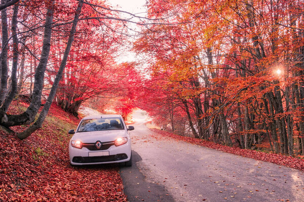 Renault Logan (Other names: Renault Tondar, Dacia Logan, Nissan Aprio, Mahindra Verito). The car is parked in the autumn forest. October 31, 2015.