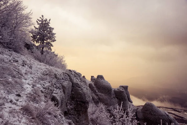 Dağ Demerdzhi, Kırım Cumhuriyeti.