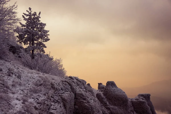 Dağ Demerdzhi, Kırım Cumhuriyeti.