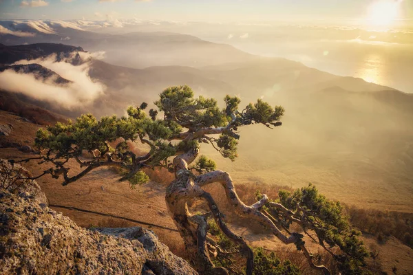 Dağ Demerdzhi, Kırım Cumhuriyeti.