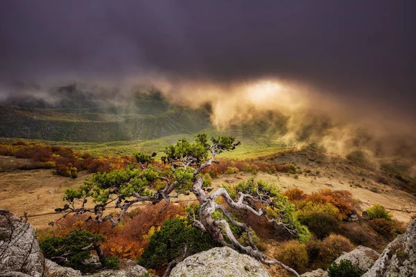 Cordillera Demerdzhi República Crimea — Foto de Stock