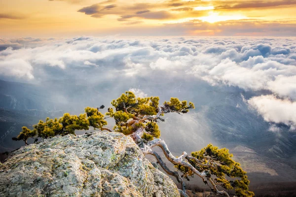 Dağ Demerdzhi, Kırım Cumhuriyeti.