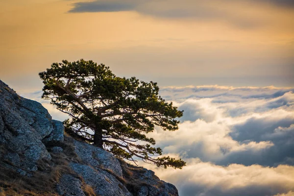 Dağ Demerdzhi, Kırım Cumhuriyeti.