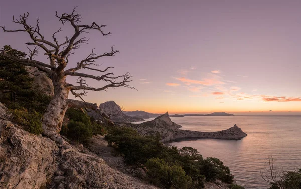 Dawn near the village Novyi Svit (New light). City district Sudak, the Republic of Crimea.