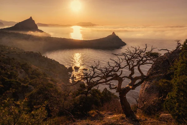 Şafak Novyi Svit (yeni ışık) köyü yakınlarında. Şehir bölge Sudak, Kırım Cumhuriyeti.
