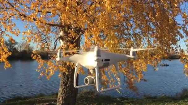 Επίδειξη Πτήση Drone Dji Phantom Pro Στο Δάσος Φθινόπωρο Μόσχα — Αρχείο Βίντεο
