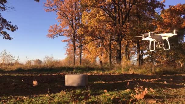 Drone Volo Dimostrativo Dji Phantom Pro Nella Foresta Autunnale Mosca — Video Stock