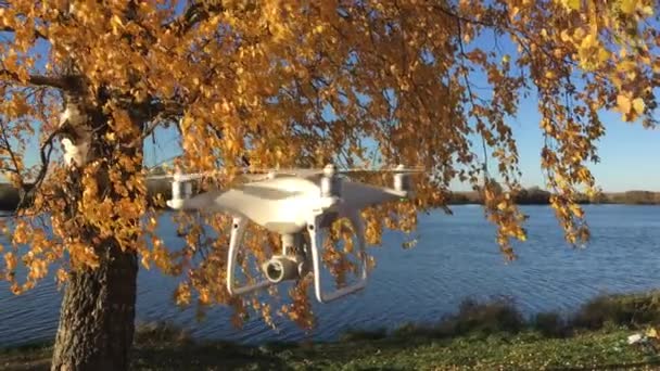Ukázka Letu Dron Dji Phantom Pro Podzimním Lese Moskva Rusko — Stock video