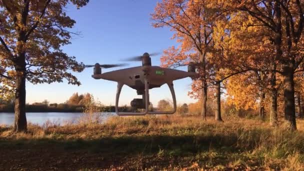 Gösteri Uçuş Drone Ile Dji Indeks Işlem Phantom Pro Sonbahar — Stok video