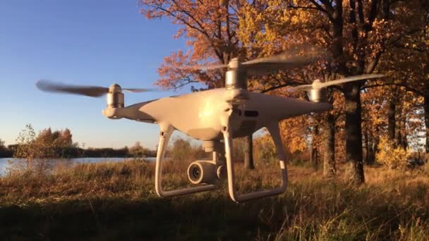 Drone Volo Dimostrativo Dji Phantom Pro Nella Foresta Autunnale Mosca — Video Stock