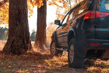 Mitsubishi Pajero spor ve güneşli bir sonbahar ağaçlarda. Moskova, Rusya. 12 Ekim 2018