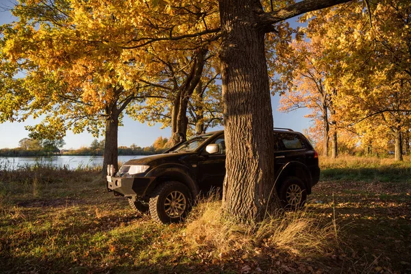 Mitsubishi Pajero Sport Och Träd Hösten Solig Dag Moscow Ryssland — Stockfoto