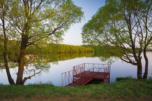 View Lake Trees Moscow Russia — Stock Photo, Image