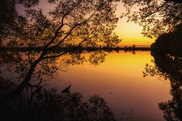 Pohled Jezero Stromů Nedaleko Moskvy Rusko — Stock fotografie