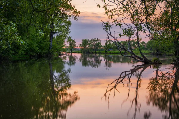 Blick Auf Den See Und Bäume Der Nähe Von Moskau — Stockfoto