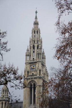 Vienna, Avusturya - 4 Ocak 2014: Viyana Belediye Binası. Neo-Gotik yapı