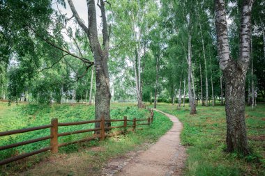 Plyos, Ivanovo Oblastı, Rusya - 9 Temmuz 2013: Doğa Volga Nehri üzerinde küçük bir kasaba görünümünde