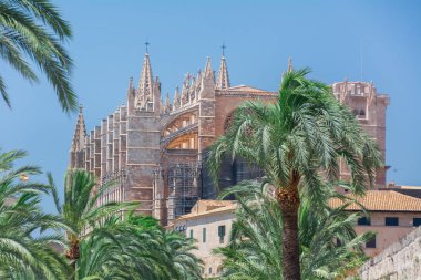 Palma de Mallorca, Balear Adaları, İspanya - 21 Temmuz 2013: Cathedral St. Mary Palma (katedral de Santa Maria de Palma de Mallorca)