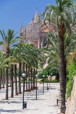 Palma de Mallorca, Balear Adaları, İspanya - 21 Temmuz 2013: Cathedral St. Mary Palma (katedral de Santa Maria de Palma de Mallorca)