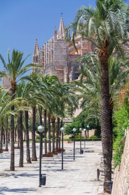 Palma de Mallorca, Balear Adaları, İspanya - 21 Temmuz 2013: Cathedral St. Mary Palma (katedral de Santa Maria de Palma de Mallorca)
