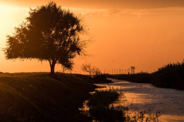 Chyornye zemli 'de günbatımı (kara arsalar) doğa rezervi, Kalmykia bölgesi, Rusya.