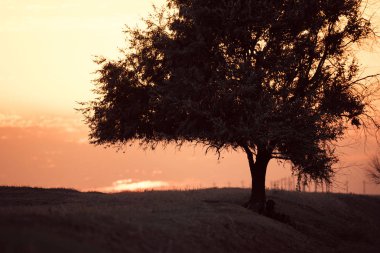 Chyornye zemli 'de günbatımı (kara arsalar) doğa rezervi, Kalmykia bölgesi, Rusya.