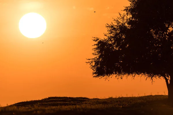 Coucher Soleil Dans Réserve Naturelle Chyornye Zemli Terres Noires Région — Photo