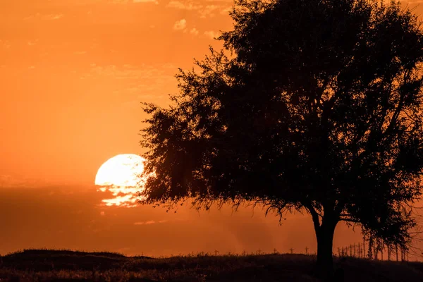 Sonnenuntergang Chyornye Zemli Schwarzes Land Naturschutzgebiet Kalmückien Region Russland — Stockfoto