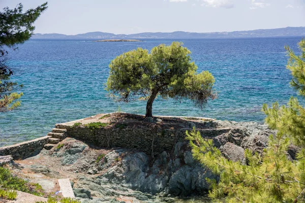 Sithonia, Chalkidiki, Yunanistan - 29 Haziran 2014: Açık güneşli havalarda deniz ve plaj yarımada görünümü