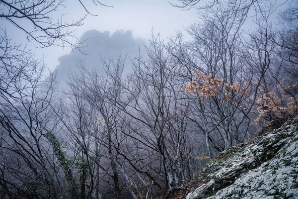 Floresta nebulosa na cordilheira Demerdzhi no Vale do gh — Fotografia de Stock