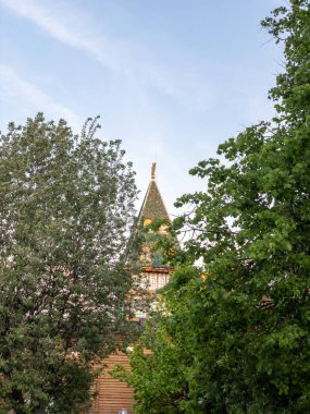 Çar Alexei M Sarayı'nın arka planında çiçekli ağaçlar