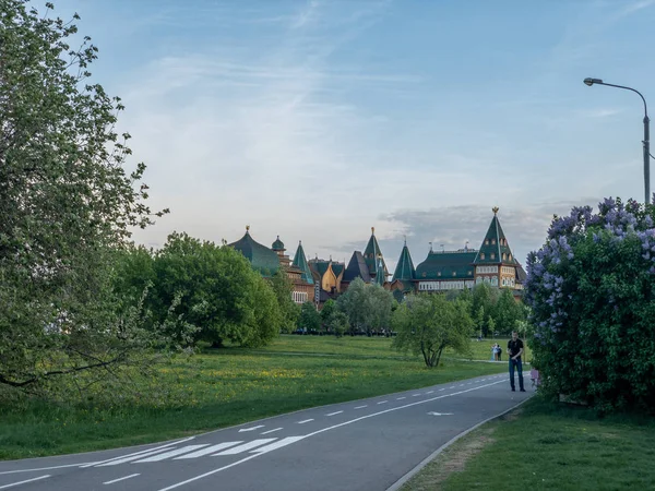 Voetgangers-en fietspaden op de achtergrond het paleis van TSA Stockafbeelding