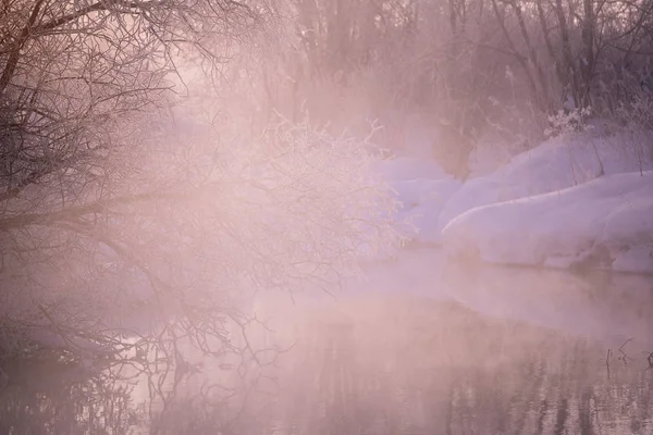 안개에 서리가 내린 겨울 아침에 서리가 내린 나무 나뭇가지. "르 — 스톡 사진