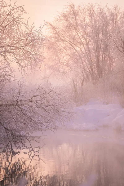 Na mrazivé zimní ráno v mlze se mračilo. "Le — Stock fotografie