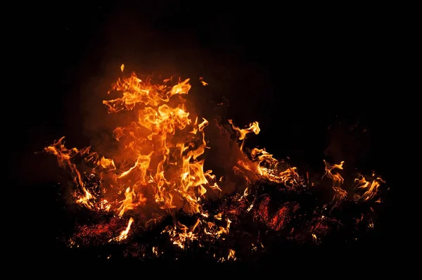 Llama Fuego Sobre Negro Hierba Ardiente — Foto de Stock