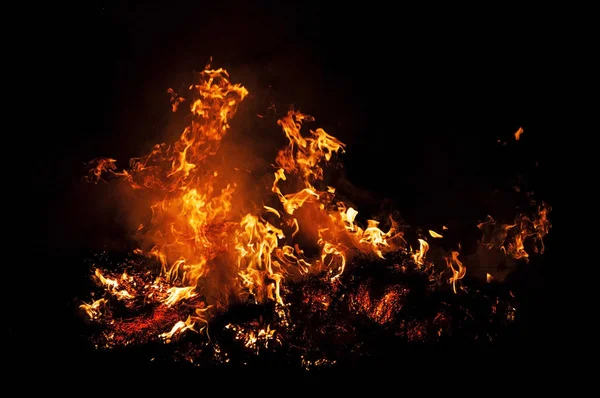Llama Fuego Sobre Negro Hierba Ardiente —  Fotos de Stock