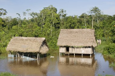 Peru, Güney Amerika. Amazonas köyü. Tipik Hint kabileleri yerleşim Amazon. 