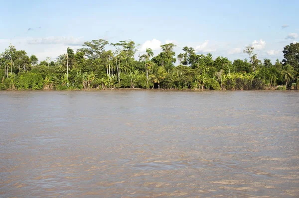 Amazon Folyó Rainforest Táj Peru Dél Amerika — Stock Fotó