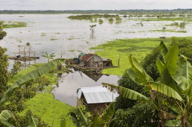 Iquitos, Peru. Amazonas köyü. Amazon Nehri kenarındaki tipik Hint kabileleri yerleşim.