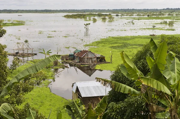 Iquitos Peru Vila Amazonas Assentamento Típico Tribos Indígenas Borda Rio Imagens Royalty-Free