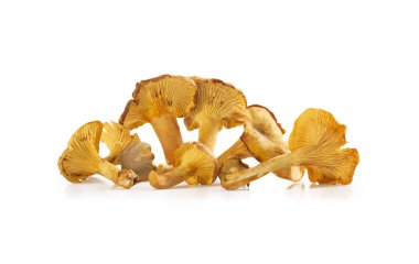 Cantharellus cibarius mantar izole üzerinde beyaz arka plan. Girolle mantar yığını.
