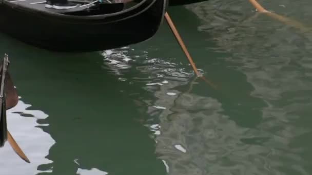 Traditionell Venetiansk Gondol Med Gondolier Canal Italien — Stockvideo