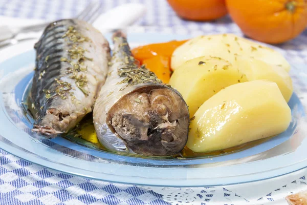 Närbild Traditionell Portugisisk Måltid Makrill Fisk Med Potatis Och Morot — Stockfoto