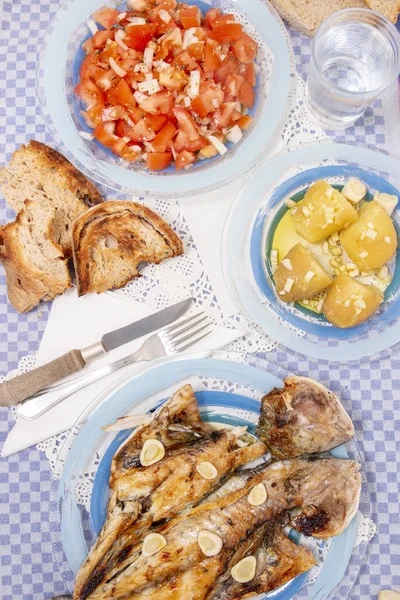 Vue Rapprochée Repas Portugais Traditionnel Bar Européen Grillé Avec Salade — Photo