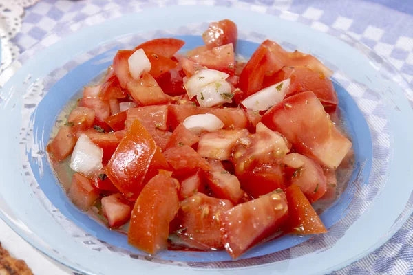 葡萄牙传统番茄沙拉与洋葱的看法 — 图库照片