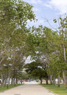 Rahatlatıcı Park Pescador Olhanense güzel manzarasına Olhao City, Portekiz.