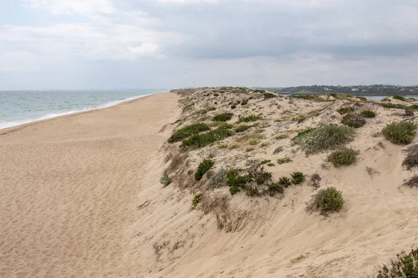 Schilderachtig Uitzicht Zandduin Vegetatie Algarve — Stockfoto