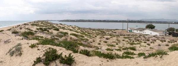 Schilderachtig Uitzicht Zandduin Vegetatie Algarve — Stockfoto