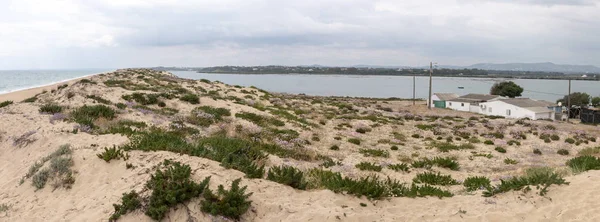 Vue Panoramique Végétation Des Dunes Sable Sur Région Algarve — Photo